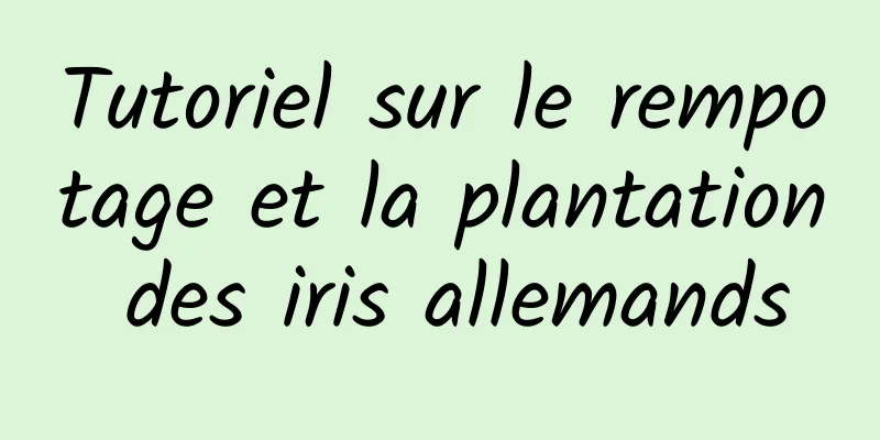 Tutoriel sur le rempotage et la plantation des iris allemands