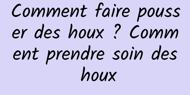 Comment faire pousser des houx ? Comment prendre soin des houx