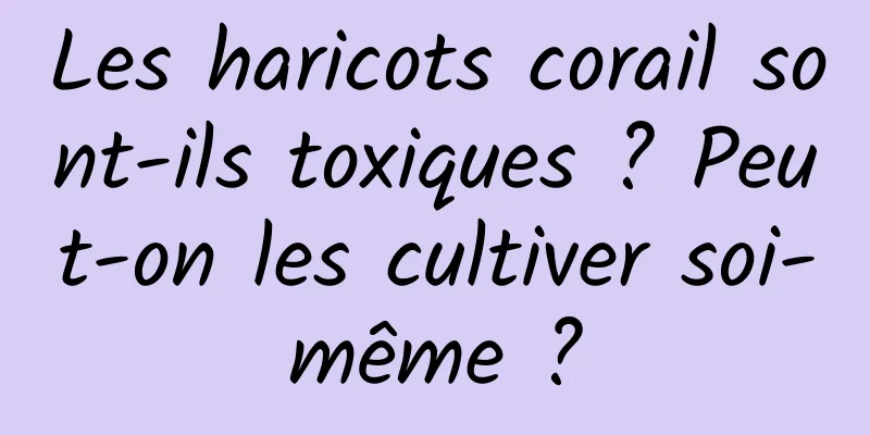 Les haricots corail sont-ils toxiques ? Peut-on les cultiver soi-même ?
