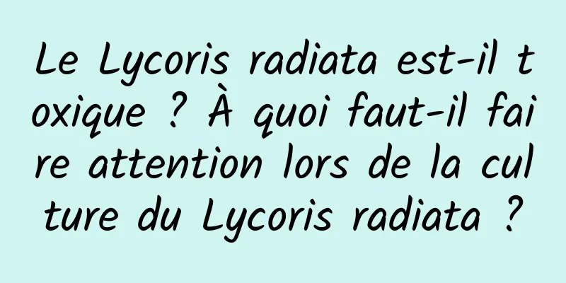Le Lycoris radiata est-il toxique ? À quoi faut-il faire attention lors de la culture du Lycoris radiata ?
