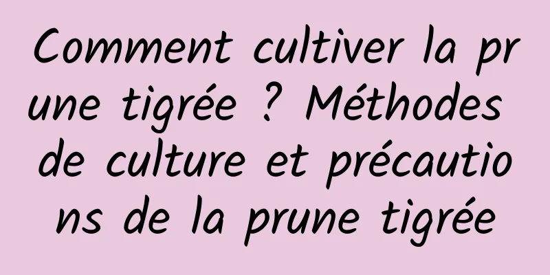 Comment cultiver la prune tigrée ? Méthodes de culture et précautions de la prune tigrée