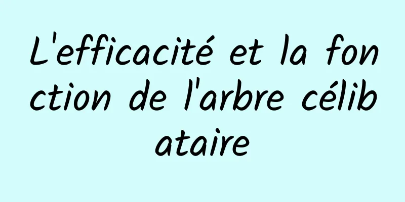 L'efficacité et la fonction de l'arbre célibataire