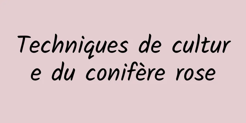 Techniques de culture du conifère rose