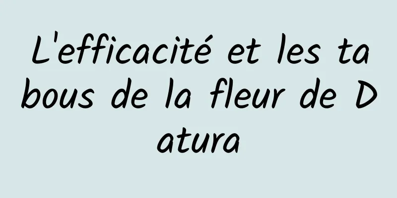 L'efficacité et les tabous de la fleur de Datura