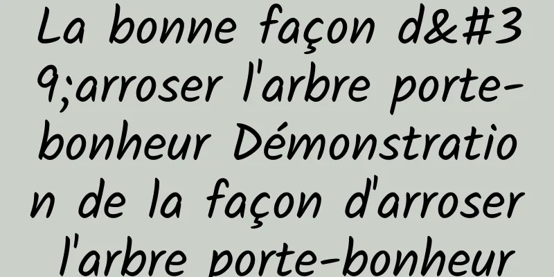 La bonne façon d'arroser l'arbre porte-bonheur Démonstration de la façon d'arroser l'arbre porte-bonheur