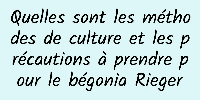Quelles sont les méthodes de culture et les précautions à prendre pour le bégonia Rieger