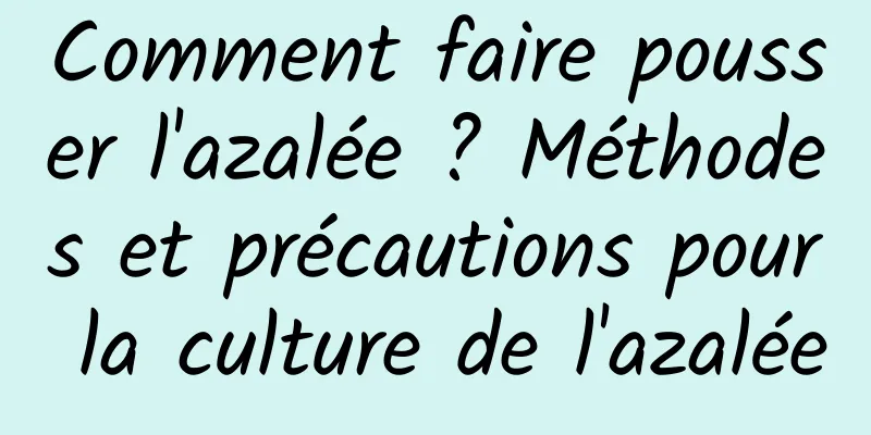 Comment faire pousser l'azalée ? Méthodes et précautions pour la culture de l'azalée