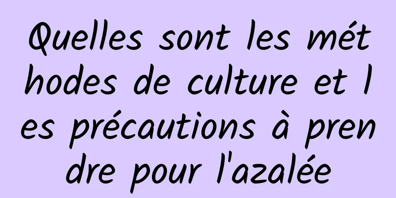 Quelles sont les méthodes de culture et les précautions à prendre pour l'azalée
