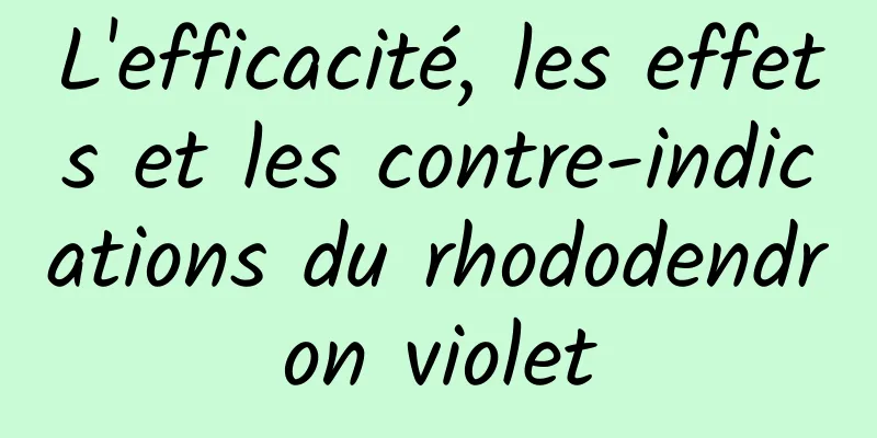 L'efficacité, les effets et les contre-indications du rhododendron violet
