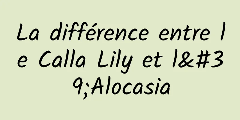 La différence entre le Calla Lily et l'Alocasia