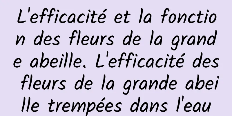 L'efficacité et la fonction des fleurs de la grande abeille. L'efficacité des fleurs de la grande abeille trempées dans l'eau