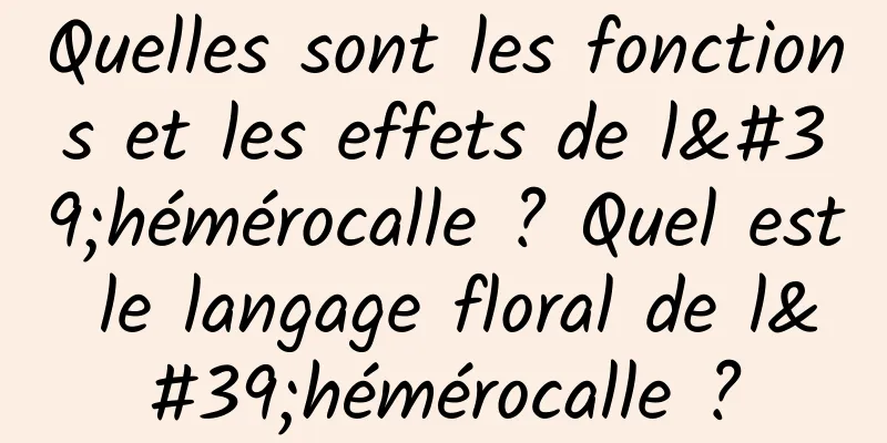 Quelles sont les fonctions et les effets de l'hémérocalle ? Quel est le langage floral de l'hémérocalle ?