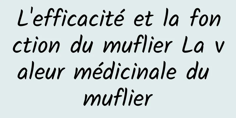 L'efficacité et la fonction du muflier La valeur médicinale du muflier