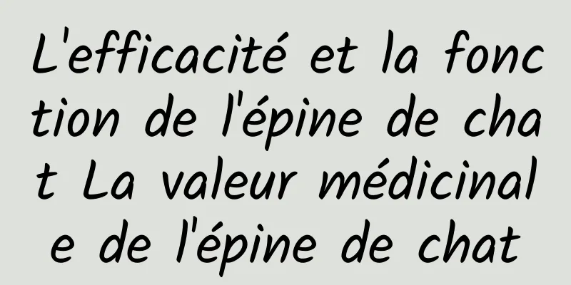 L'efficacité et la fonction de l'épine de chat La valeur médicinale de l'épine de chat
