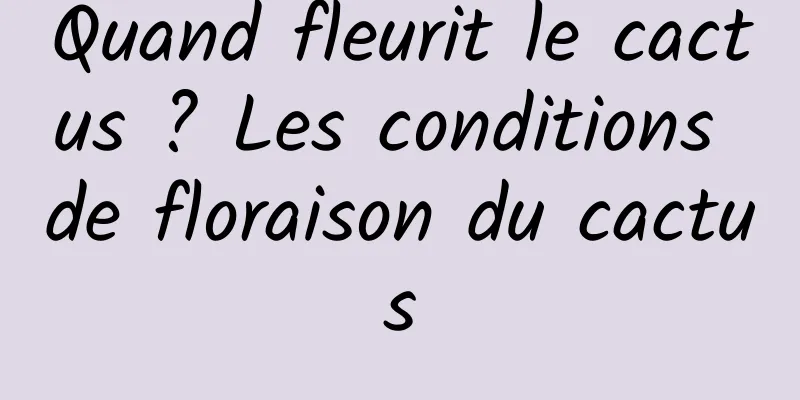 Quand fleurit le cactus ? Les conditions de floraison du cactus