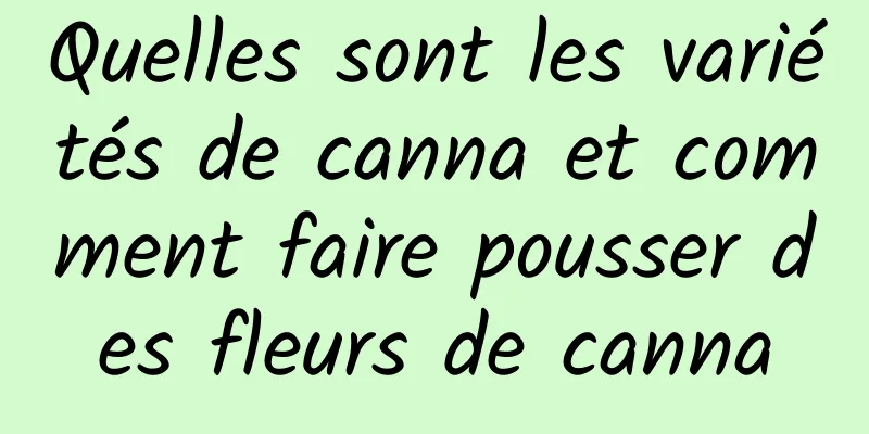Quelles sont les variétés de canna et comment faire pousser des fleurs de canna