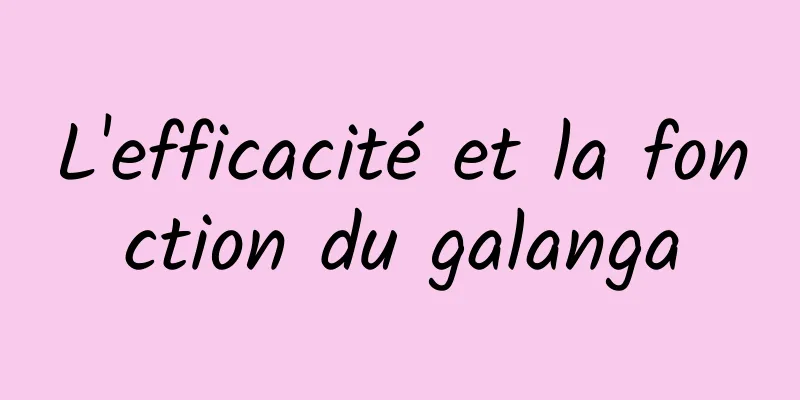 L'efficacité et la fonction du galanga