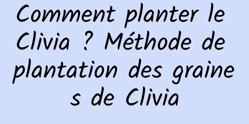 Comment planter le Clivia ? Méthode de plantation des graines de Clivia