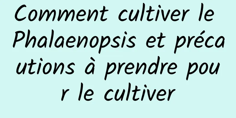 Comment cultiver le Phalaenopsis et précautions à prendre pour le cultiver