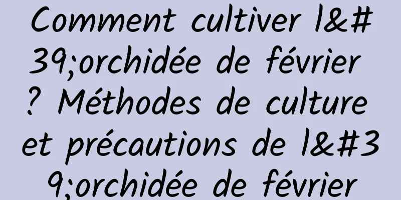 Comment cultiver l'orchidée de février ? Méthodes de culture et précautions de l'orchidée de février