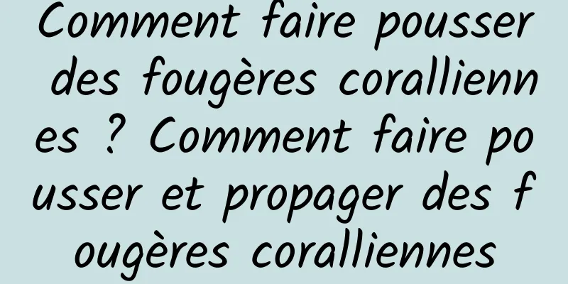 Comment faire pousser des fougères coralliennes ? Comment faire pousser et propager des fougères coralliennes