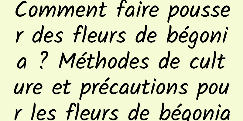Comment faire pousser des fleurs de bégonia ? Méthodes de culture et précautions pour les fleurs de bégonia