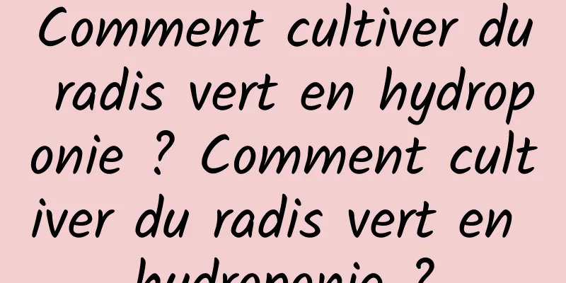 Comment cultiver du radis vert en hydroponie ? Comment cultiver du radis vert en hydroponie ?