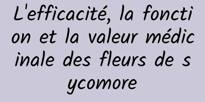 L'efficacité, la fonction et la valeur médicinale des fleurs de sycomore