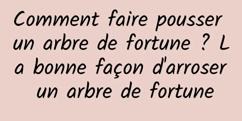 Comment faire pousser un arbre de fortune ? La bonne façon d'arroser un arbre de fortune