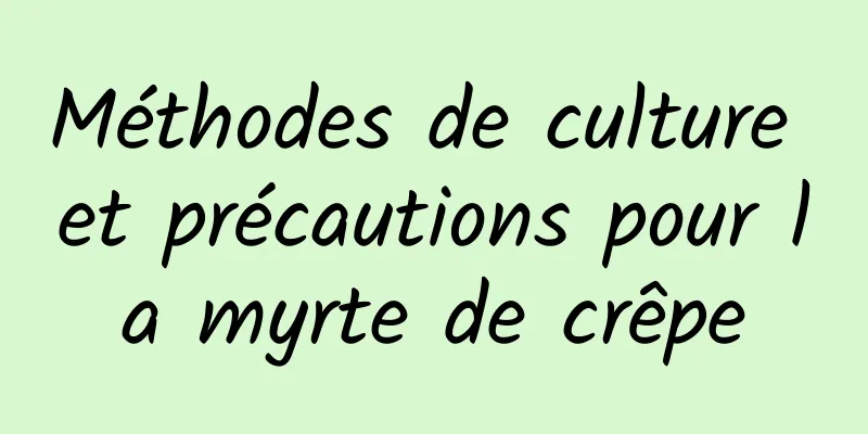 Méthodes de culture et précautions pour la myrte de crêpe
