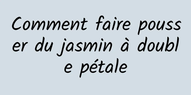 Comment faire pousser du jasmin à double pétale