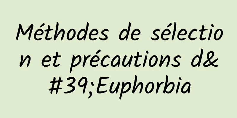 Méthodes de sélection et précautions d'Euphorbia