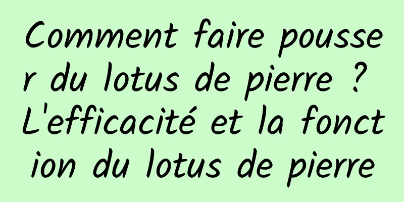 Comment faire pousser du lotus de pierre ? L'efficacité et la fonction du lotus de pierre