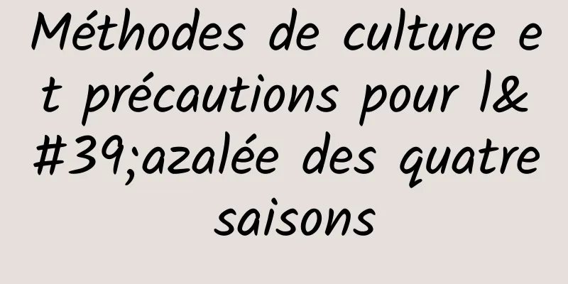 Méthodes de culture et précautions pour l'azalée des quatre saisons