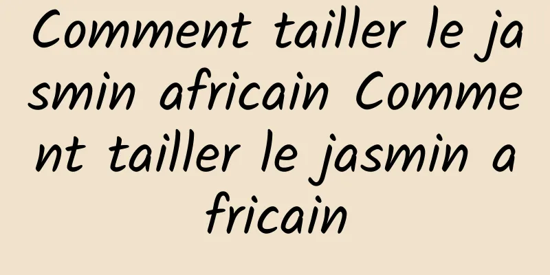 Comment tailler le jasmin africain Comment tailler le jasmin africain