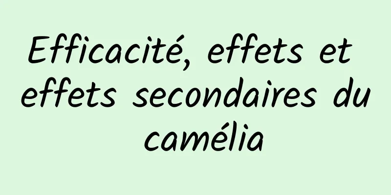 Efficacité, effets et effets secondaires du camélia