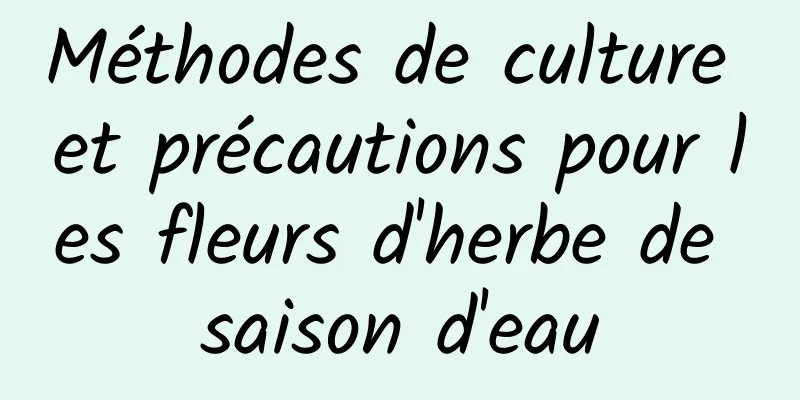 Méthodes de culture et précautions pour les fleurs d'herbe de saison d'eau