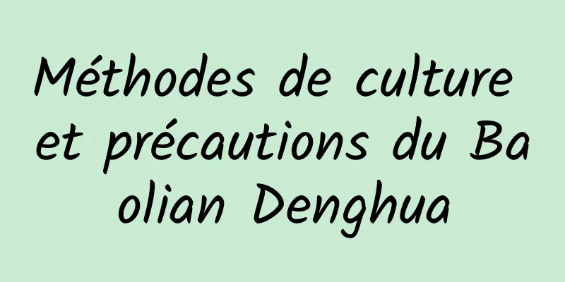 Méthodes de culture et précautions du Baolian Denghua