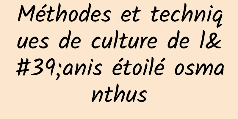 Méthodes et techniques de culture de l'anis étoilé osmanthus
