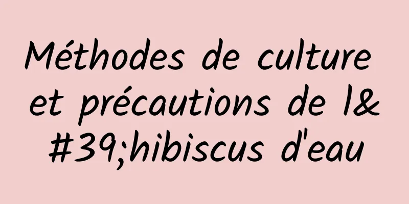 Méthodes de culture et précautions de l'hibiscus d'eau
