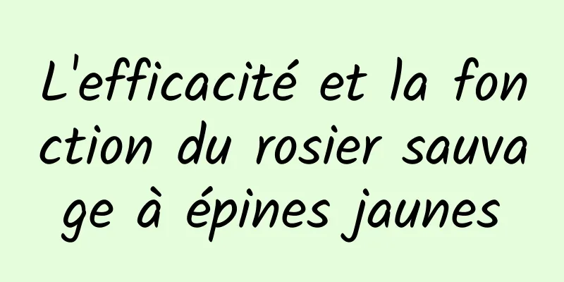 L'efficacité et la fonction du rosier sauvage à épines jaunes