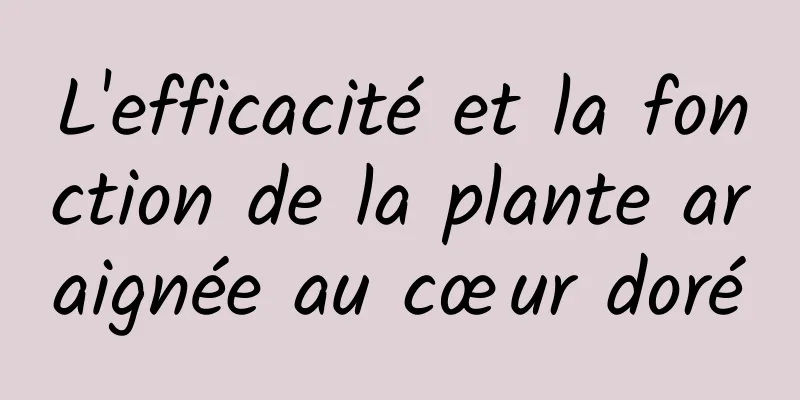 L'efficacité et la fonction de la plante araignée au cœur doré