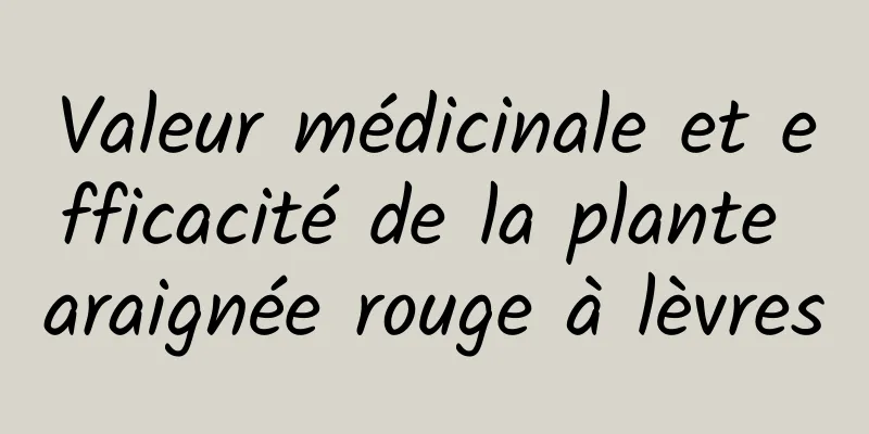 Valeur médicinale et efficacité de la plante araignée rouge à lèvres