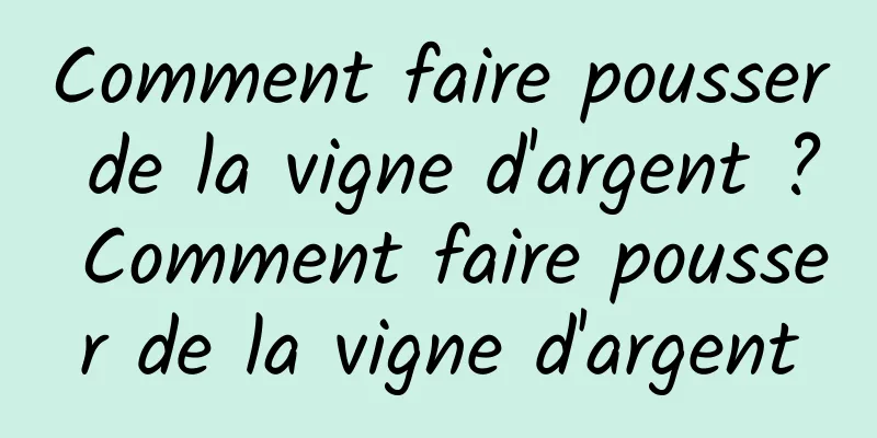 Comment faire pousser de la vigne d'argent ? Comment faire pousser de la vigne d'argent
