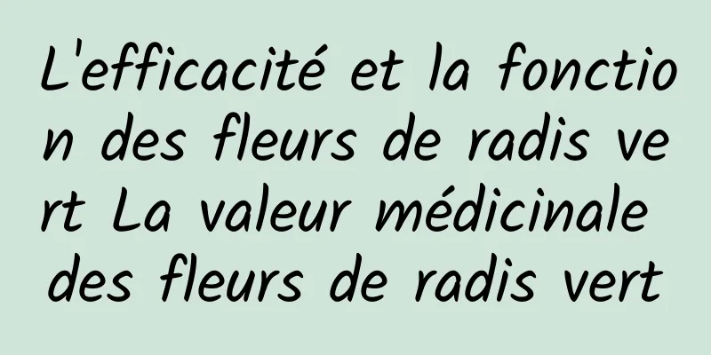 L'efficacité et la fonction des fleurs de radis vert La valeur médicinale des fleurs de radis vert