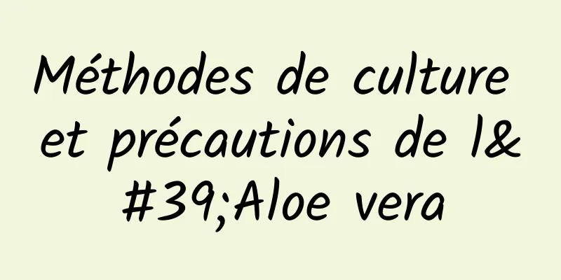 Méthodes de culture et précautions de l'Aloe vera
