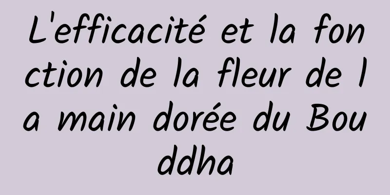 L'efficacité et la fonction de la fleur de la main dorée du Bouddha