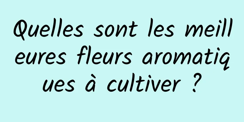 Quelles sont les meilleures fleurs aromatiques à cultiver ?