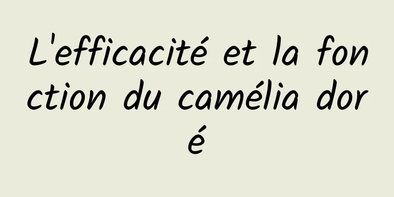 L'efficacité et la fonction du camélia doré