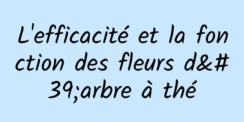 L'efficacité et la fonction des fleurs d'arbre à thé